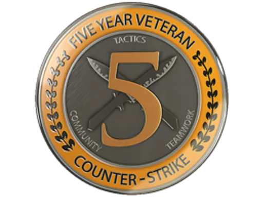 5 Year Veteran Coin