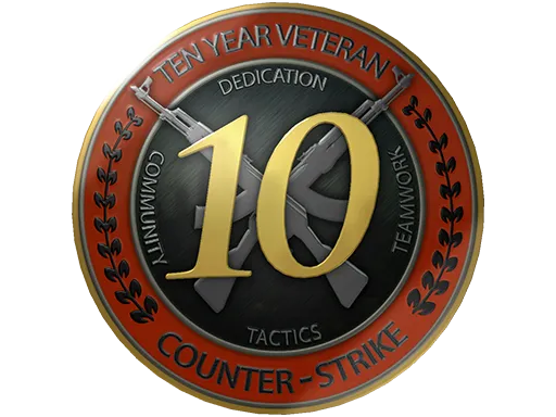 10 Year Veteran Coin