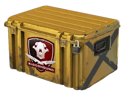 Falchion Case image