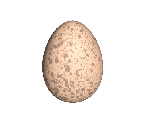 CS2 Chicken Egg inventory icon from Steam