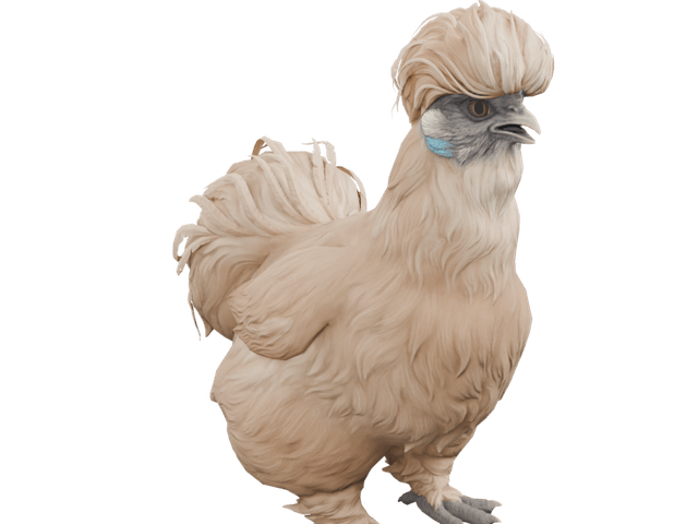 Silkie