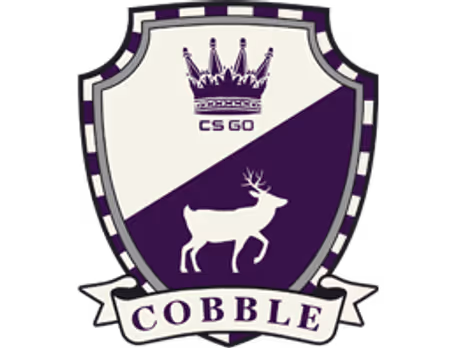 The Cobblestone Collection default image
