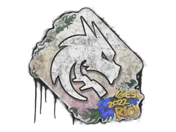 Sealed Graffiti | Team Spirit | Rio 2022