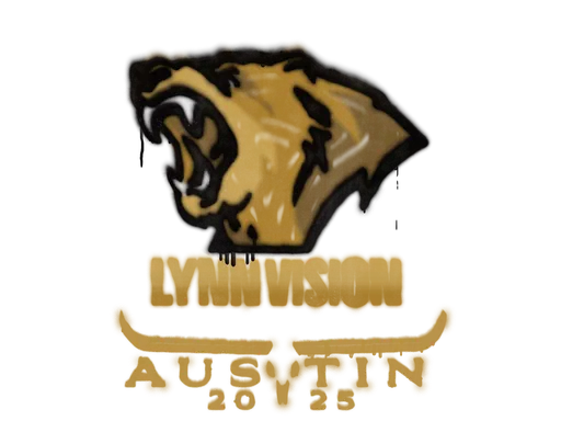 Sealed Graffiti | Lynn Vision | Austin 2025