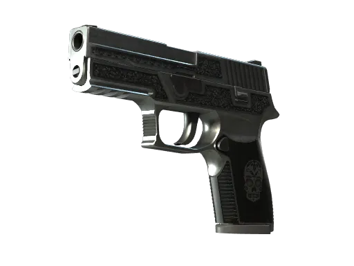 P250 | Cartel (Well-Worn)