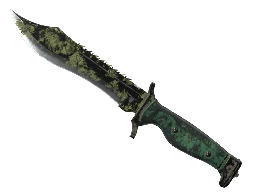 ★ Bowie Knife | Boreal Forest (Battle-Scarred)