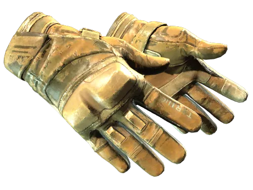 ★ Moto Gloves | Transport (Battle-Scarred)