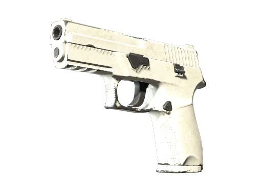 P250 | Whiteout (Well-Worn)