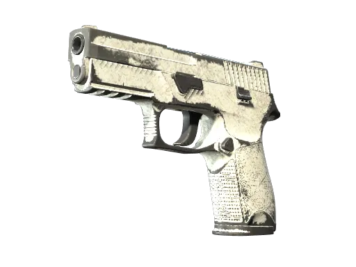 P250 | Whiteout (Battle-Scarred)