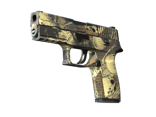 P250 | Contamination (Field-Tested)