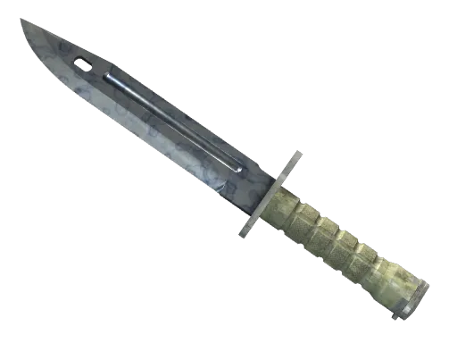 ★ StatTrak™ Bayonet | Stained (Factory New)