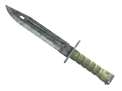★ Bayonet | Stained (Field-Tested)