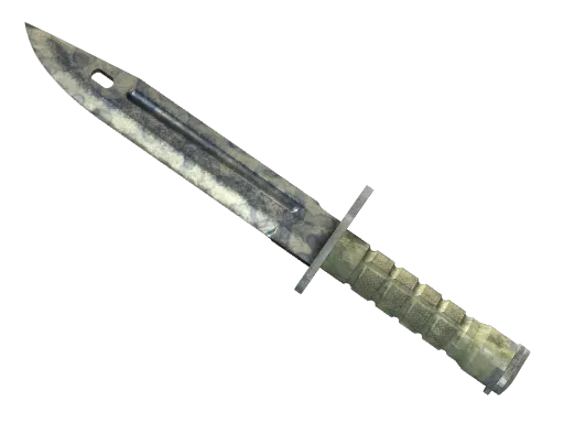 ★ Bayonet | Stained (Battle-Scarred)