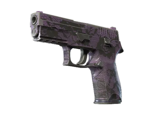 P250 | Plum Netting (Well-Worn)