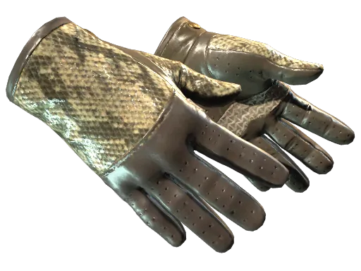 CS2 Driver Gloves | Diamondback - Extraordinary Gloves skin