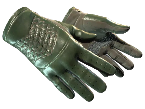 CS2 Driver Gloves | Racing Green - Extraordinary Gloves skin