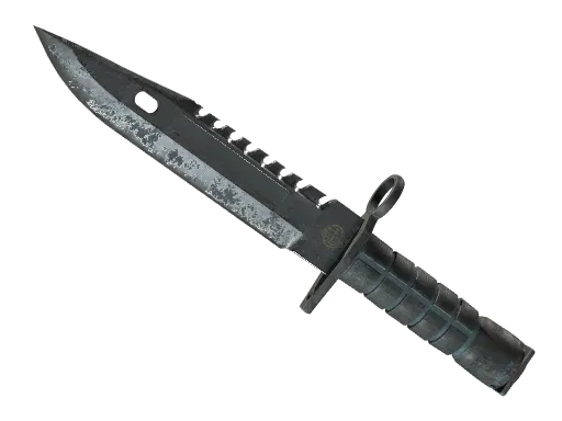 ★ M9 Bayonet | Night (Battle-Scarred)