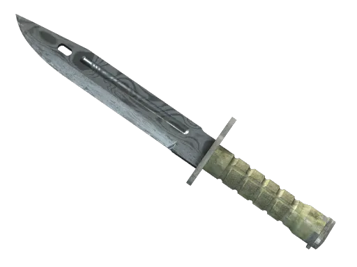 ★ Bayonet | Damascus Steel (Well-Worn)