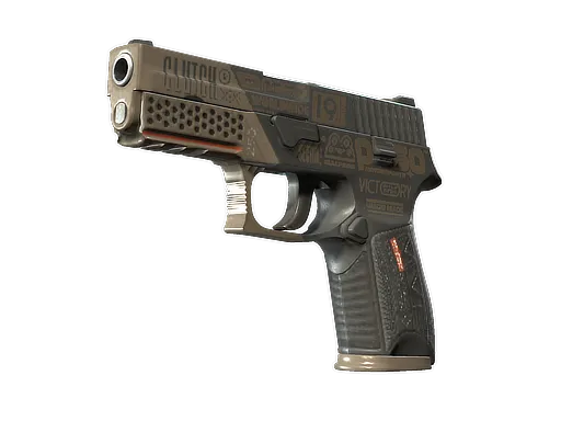 P250 | Bullfrog (Minimal Wear)