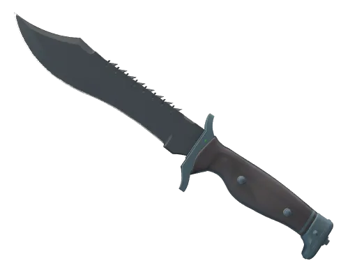 ★ Bowie Knife | Night (Minimal Wear)