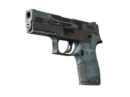 P250 | Forest Night (Battle-Scarred)