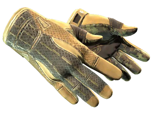 CS2 Sport Gloves | Arid - Extraordinary Gloves skin