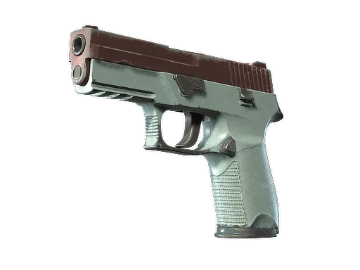 P250 | Copper Oxide (Well-Worn)