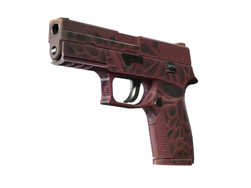 StatTrak™ P250 | Contaminant (Minimal Wear)