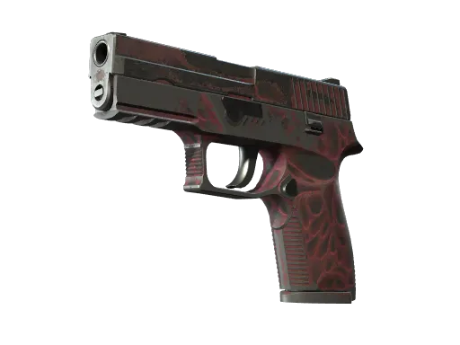 StatTrak™ P250 | Contaminant (Battle-Scarred)