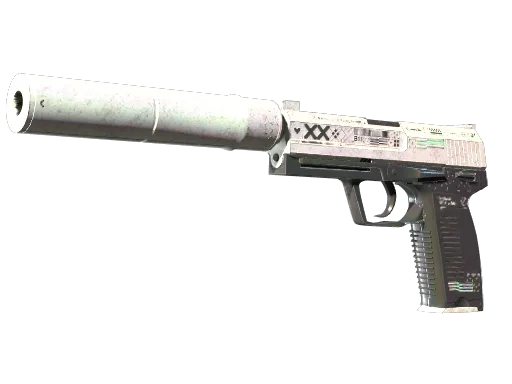 StatTrak™ USP-S | Printstream (Battle-Scarred)