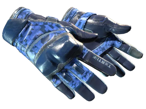 ★ Moto Gloves | Polygon (Field-Tested)