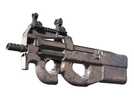 P90 | Wash me (Well-Worn)