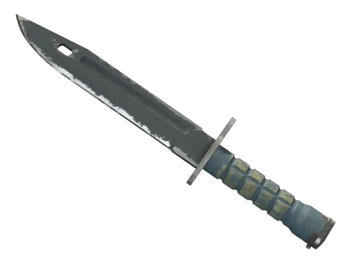 ★ Bayonet | Night (Well-Worn)