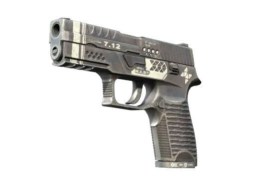 StatTrak™ P250 | Re.built (Minimal Wear)
