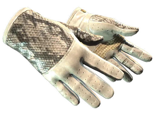 CS2 Driver Gloves | King Snake - Extraordinary Gloves skin