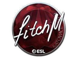 Sticker | fitch | Katowice 2019