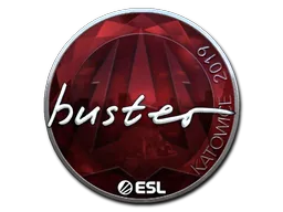 Sticker | buster | Katowice 2019