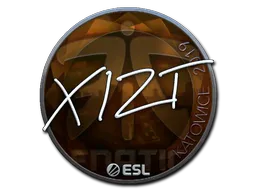 Sticker | Xizt | Katowice 2019