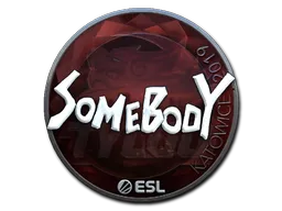 Sticker | somebody | Katowice 2019