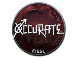 Sticker | xccurate | Katowice 2019
