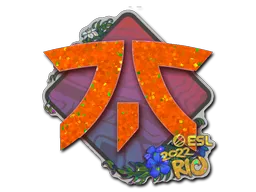 Sticker | Fnatic | Rio 2022