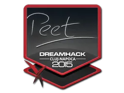 Sticker | peet | Cluj-Napoca 2015